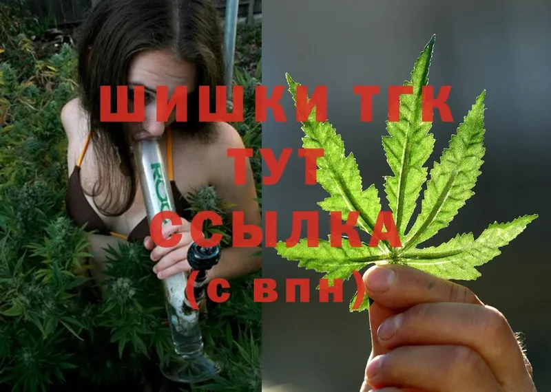 где продают   Кедровый  mega как зайти  Шишки марихуана White Widow 